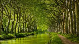 canal du midi