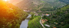 douro vallei 22y79z3n9vro5pw46i26ns59e96aa6qbzt0