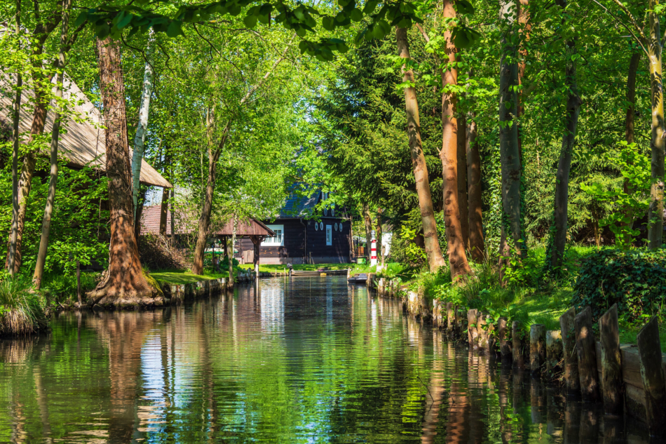 spreewald