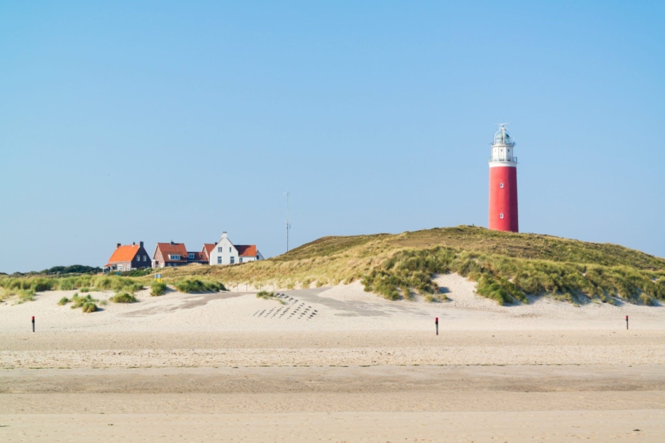 texel